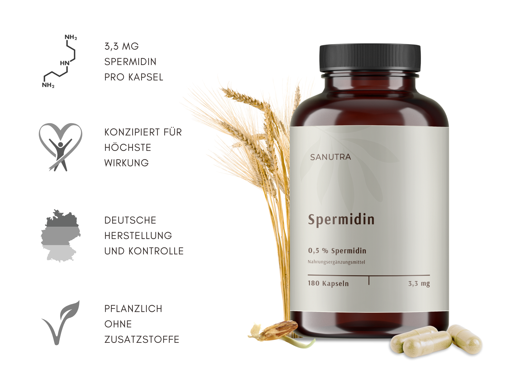 Spermidin 1